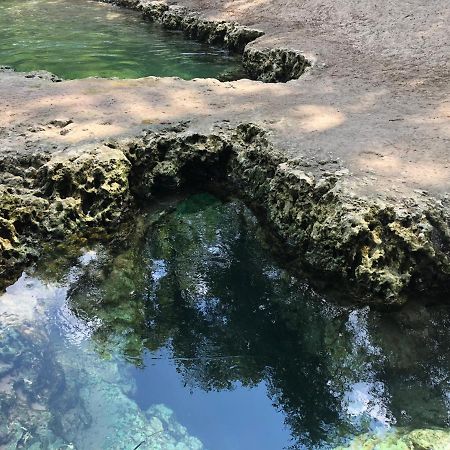 The Suwannee River Hide-A-Way Mayo Esterno foto